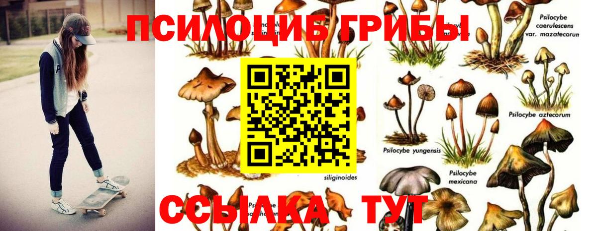 Псилоцибиновые грибы мицелий  Вход с VPN  купить наркотики сайты  Еманжелинск 